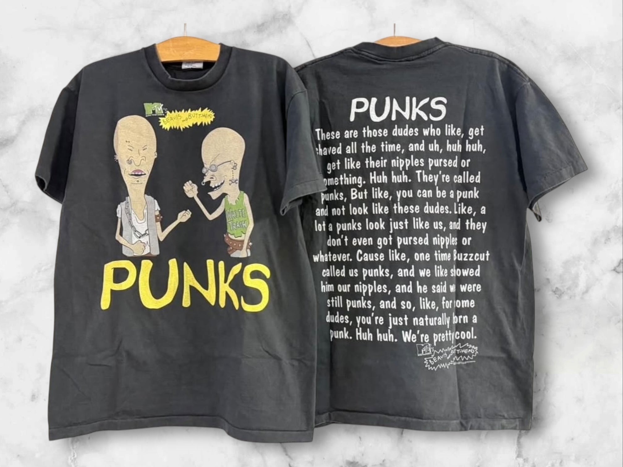 MTV PUNKS