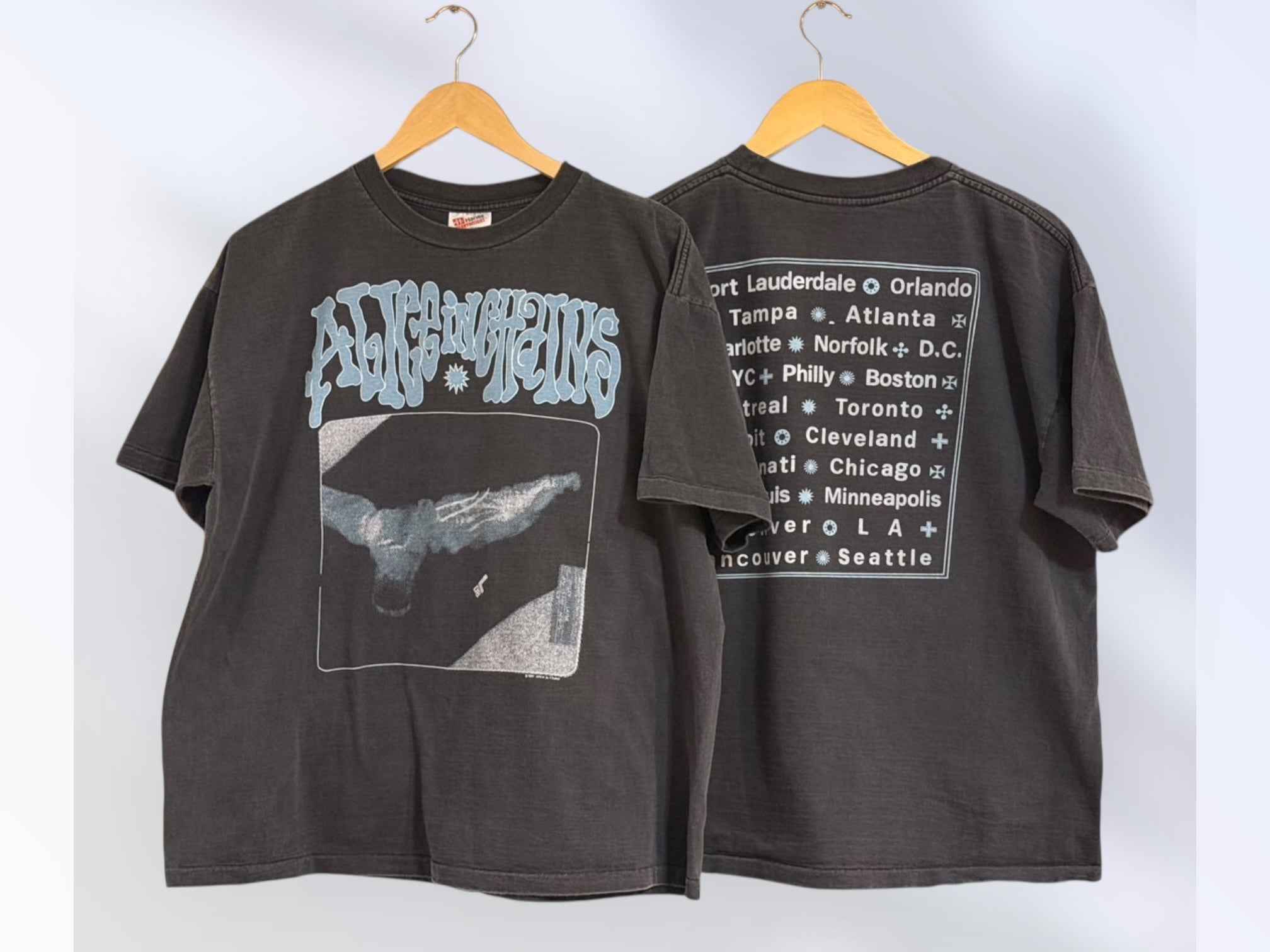 即発送可能商品　Alice In Chains