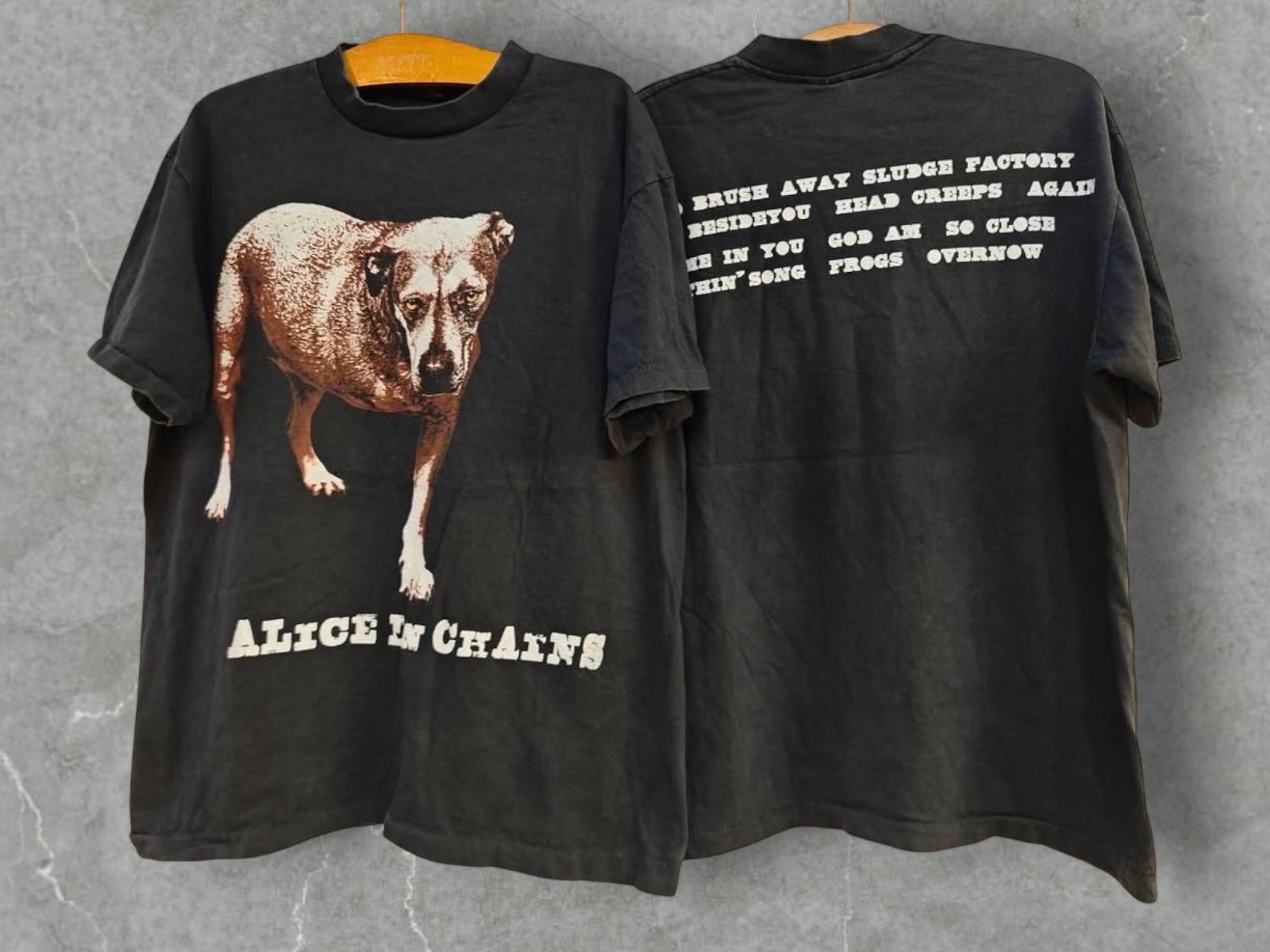 Alice In Chains