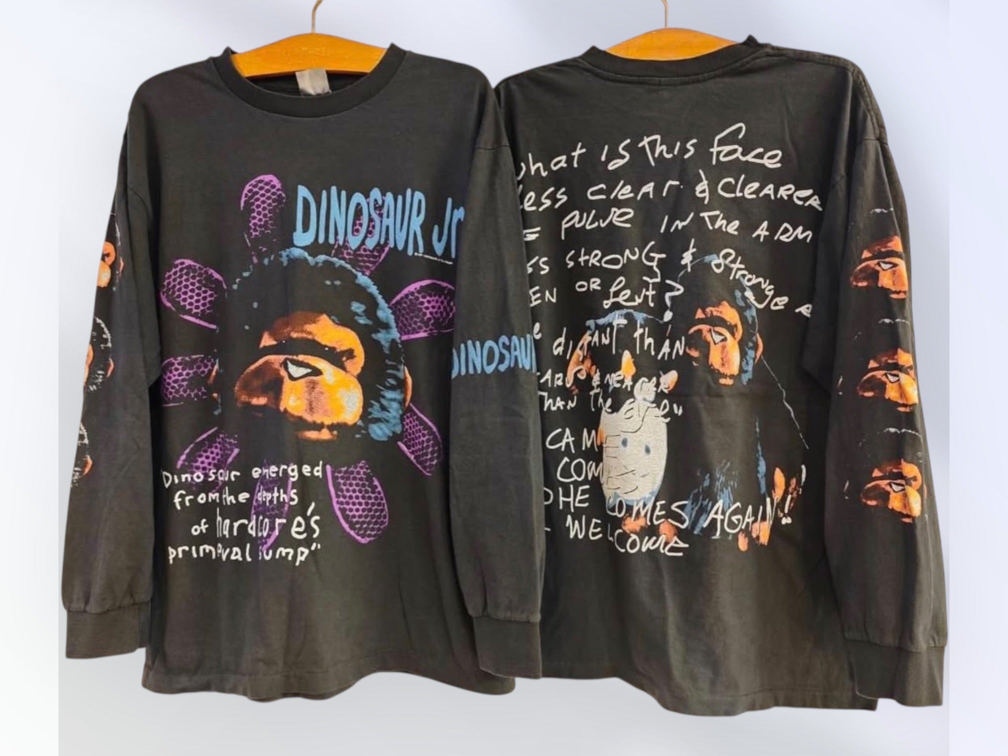 Dinosaur .Jr LS