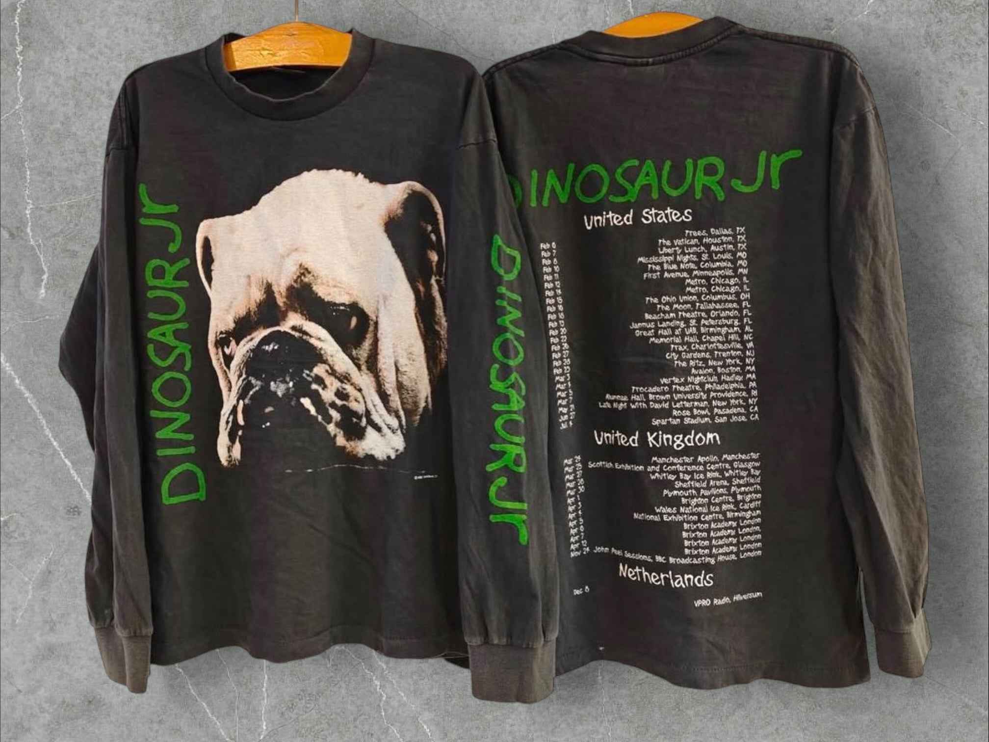 Dinosaur .Jr LS