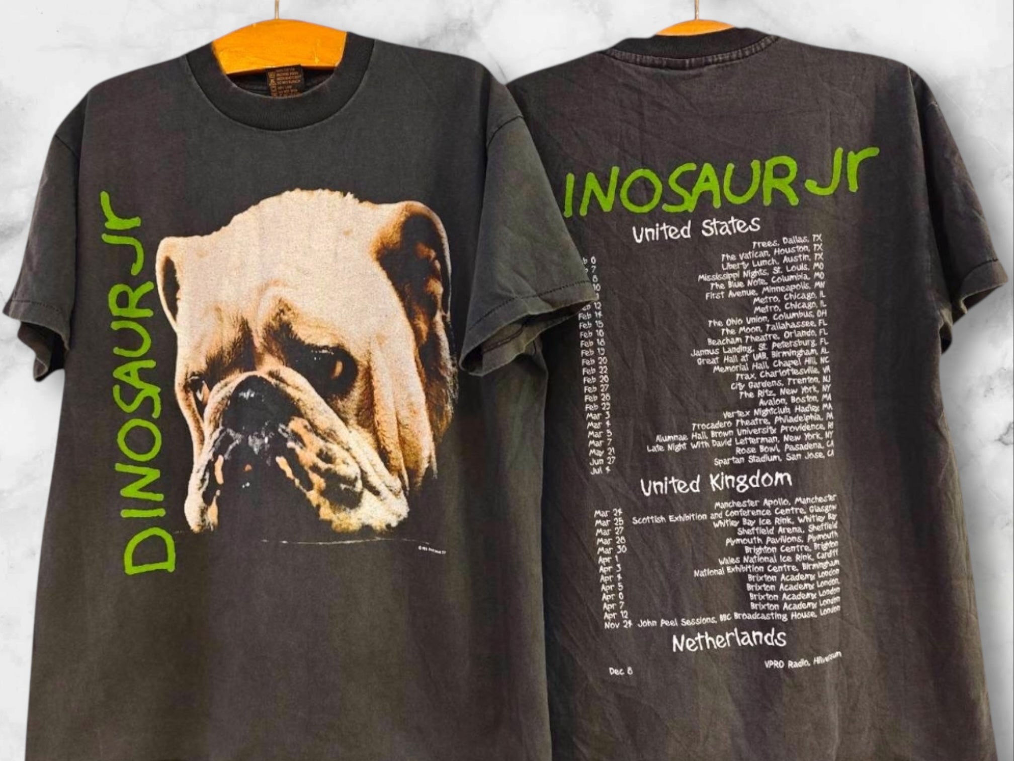 Dinosaur.Jr（受注商品11/30より順次発送）